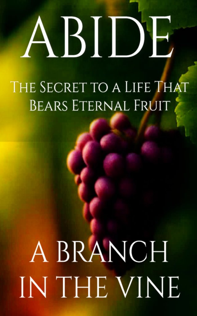 The secret to a life that bears eternal fruits book cover with grapes